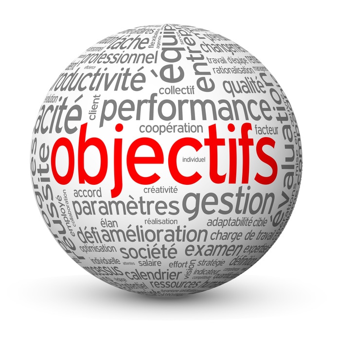 Globe – Nuage de Tags OBJECTIFS (équipe performance management)